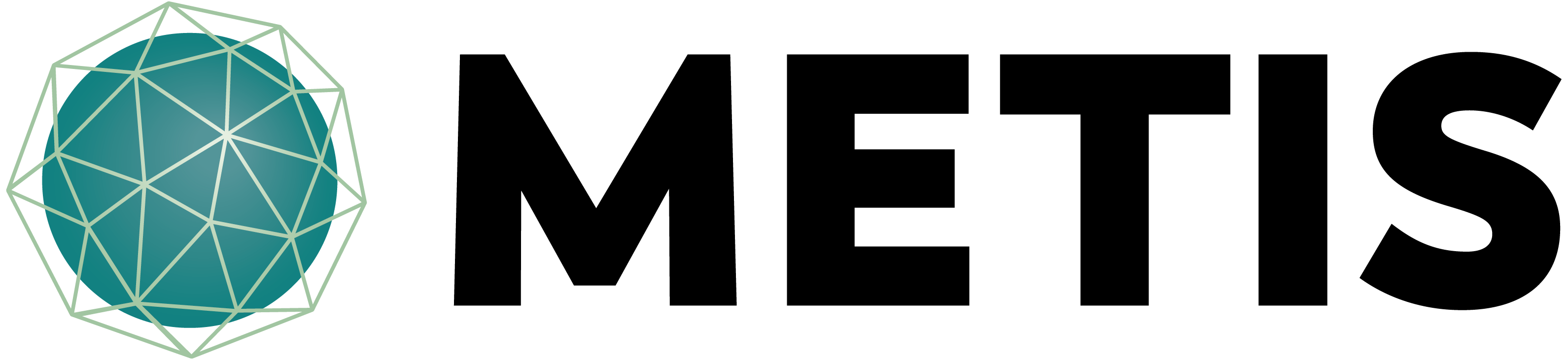 METIS Logo